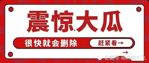 娱乐圈八卦吃瓜合集分享